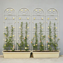 Load image into Gallery viewer, Metal Garden Trellis Rustproof Trellis For Climbing Plant Outdoor Flower Support
