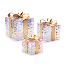 Load image into Gallery viewer, Decorative Boxes With LED (Set of 3) - Clear / Gold
