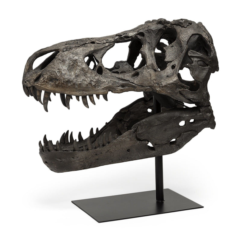 Authentic Replica T Rex Skull Sculpture - Brown