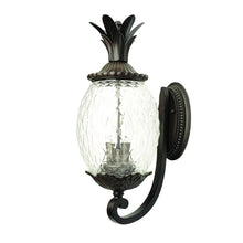 Load image into Gallery viewer, Lanai 3-Light Metal Wall Light - Black Coral
