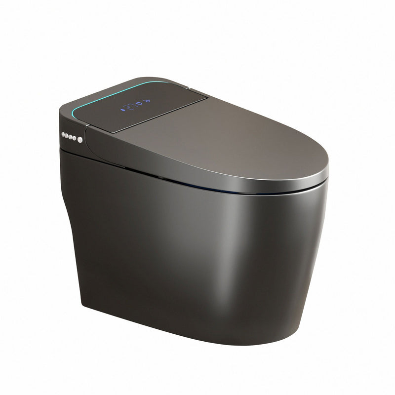 Smart Bidet Toilet With Auto Open / Close Seat