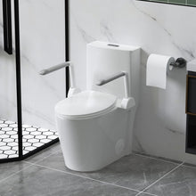 Load image into Gallery viewer, Upgraded Design Armrest, With Glossy Gw 007 1 Piece Toilet With Tornado Flush, Soft Close Seat, Dual Flush Map 1000G, Comfort Chair Seat - Gloss White
