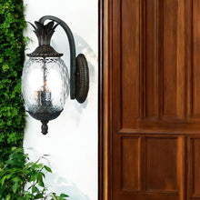 Load image into Gallery viewer, Lanai 3-Light Wall Light - Black Coral
