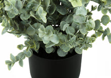 Load image into Gallery viewer, 11" Tall, Artificial Plant, Eucalyptus Grass, Indoor, Faux, Fake, Table, Greenery, Potted, Decorative (Set of 2) - Green / Black
