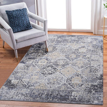 Load image into Gallery viewer, Payas - Traditional Area Rug
