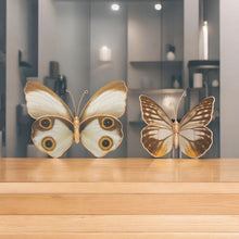 Load image into Gallery viewer, Figurine Tabletop Sculpture (Set of 2) (592967) - White
