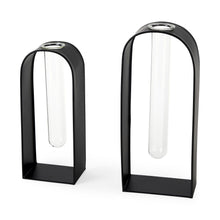 Load image into Gallery viewer, Test Tube Decor Pieces (Set of 2) - Black
