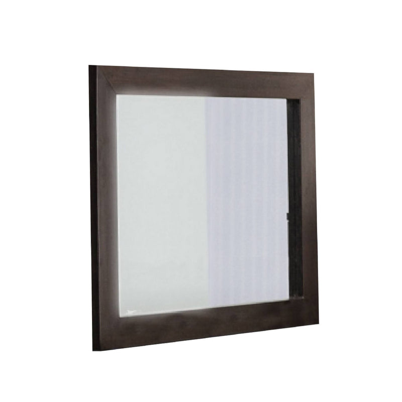 39" Square Framed Dresser Mirror - Ebony