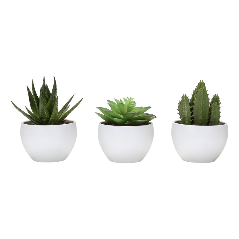 Artificial Succulent Plants (Set of 3)