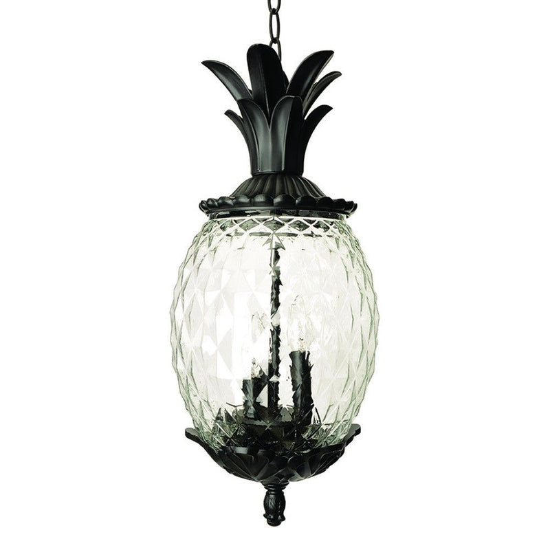 Lanai 3-Light Coral Hanging Light - Black