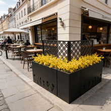 Load image into Gallery viewer, Tall Planter Raised Garden Bed With Trellis
