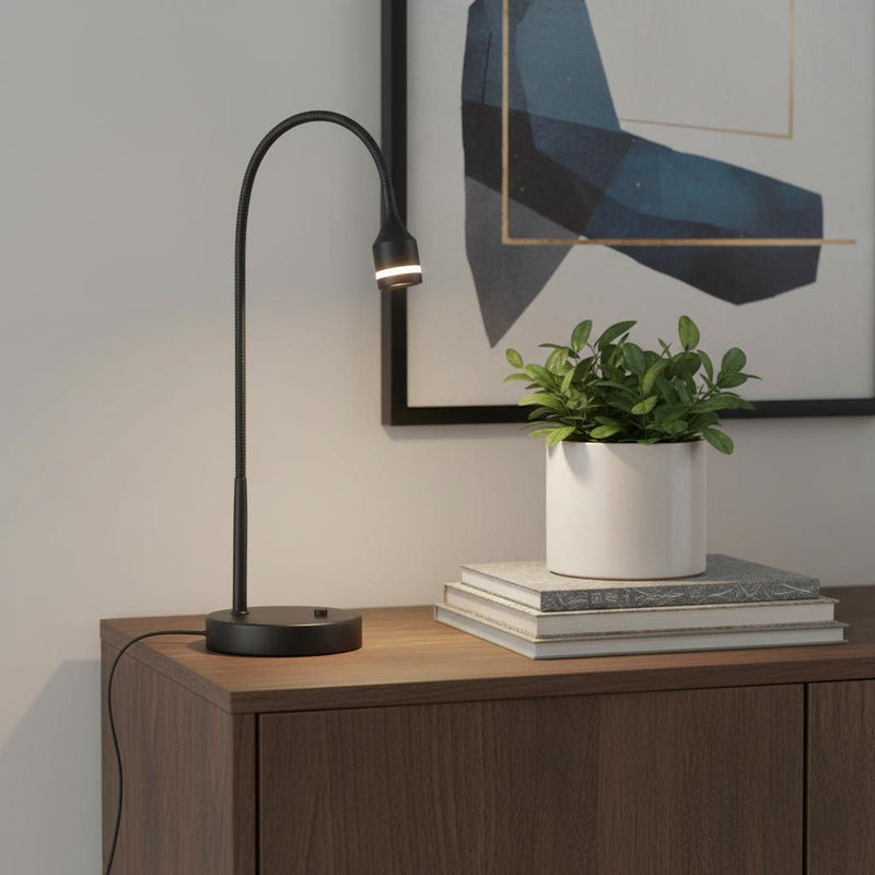 Metal LED Adjustable Desk Lamp - Matte Black