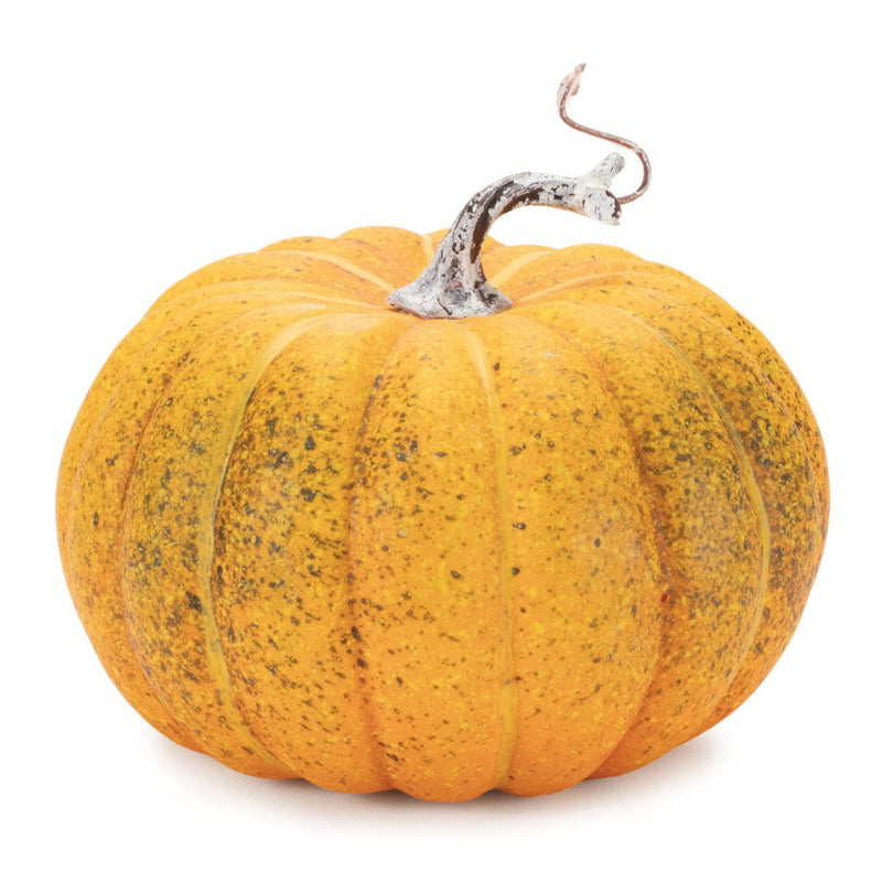 Plastic Pumpkin Thanksgiving Pumpkin Tabletop Sculpture (Set of 2) - Orange / Green