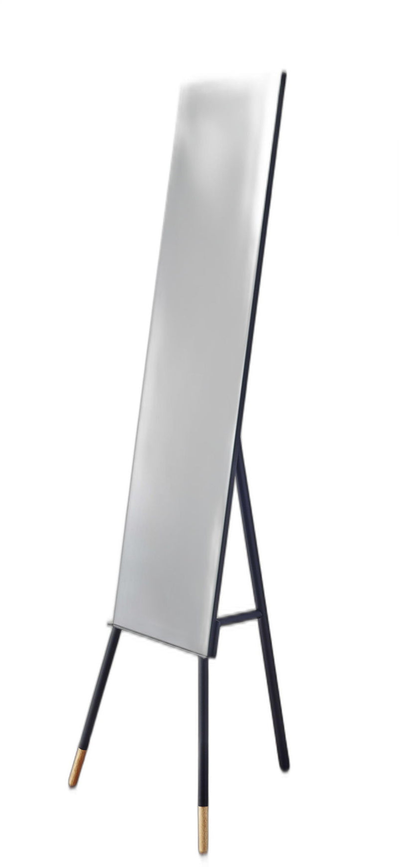 57" Rectangle Cheval Standing Metal Framed - Black