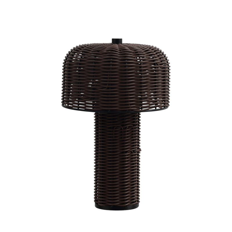 USB Table Lamps With Globe Shades (Set of 2) - Dark Brown