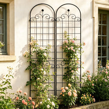 Load image into Gallery viewer, Metal Garden Trellis For Climbing Plants Outdoor Rustproof Plant Support Rose Trellis Netting Trellis
