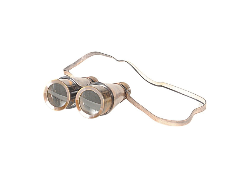 Leather Binoculars In Storage Box - Rust / Brass