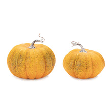 Load image into Gallery viewer, Plastic Pumpkin Thanksgiving Pumpkin Tabletop Sculpture (Set of 2) - Orange / Green
