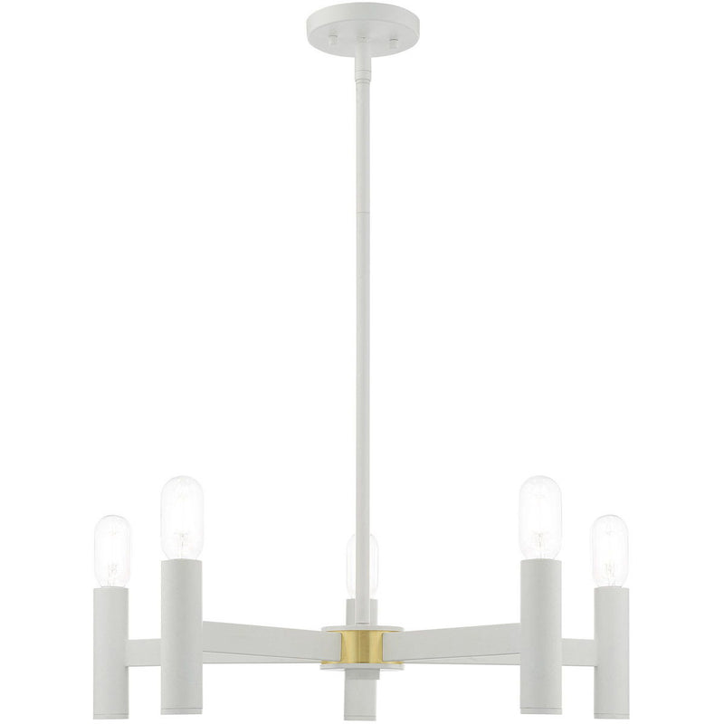 19'' Five Light Dimmable Chandelier With Shades - White