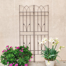 Load image into Gallery viewer, Metal Garden Trellis Rustproof For Climbing Plants Outdoor Flower Support
