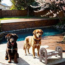 Load image into Gallery viewer, Adjustable Pet Bowl Travel Ready HDPE Durable Poly Lumber Recycled

