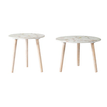 Load image into Gallery viewer, Nature-Inspired Side Tables (Set of 2)
