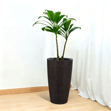 Load image into Gallery viewer, Tall Planters Set With Water Level Monitor And Auto Watering
