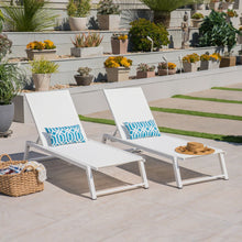 Load image into Gallery viewer, Myers - Modern Chaise Lounge Set With Adjustable Mesh Back
