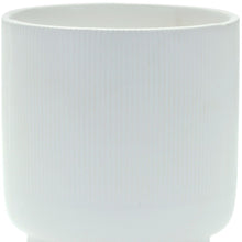 Load image into Gallery viewer, Striped Footed Pot Planter - White
