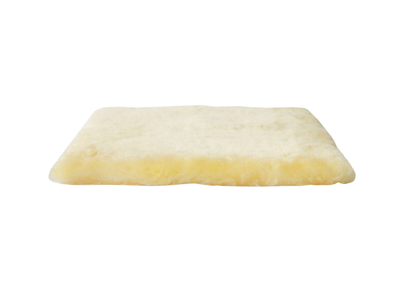 17" X 17" Linen Solid Color Dining Chair Pad (Set of 2) - Cornsilk