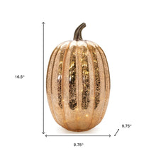 Load image into Gallery viewer, Pumpkin Thanksgiving Pumpkin Tabletop Sculpture With LED (Set of 2) - Orange
