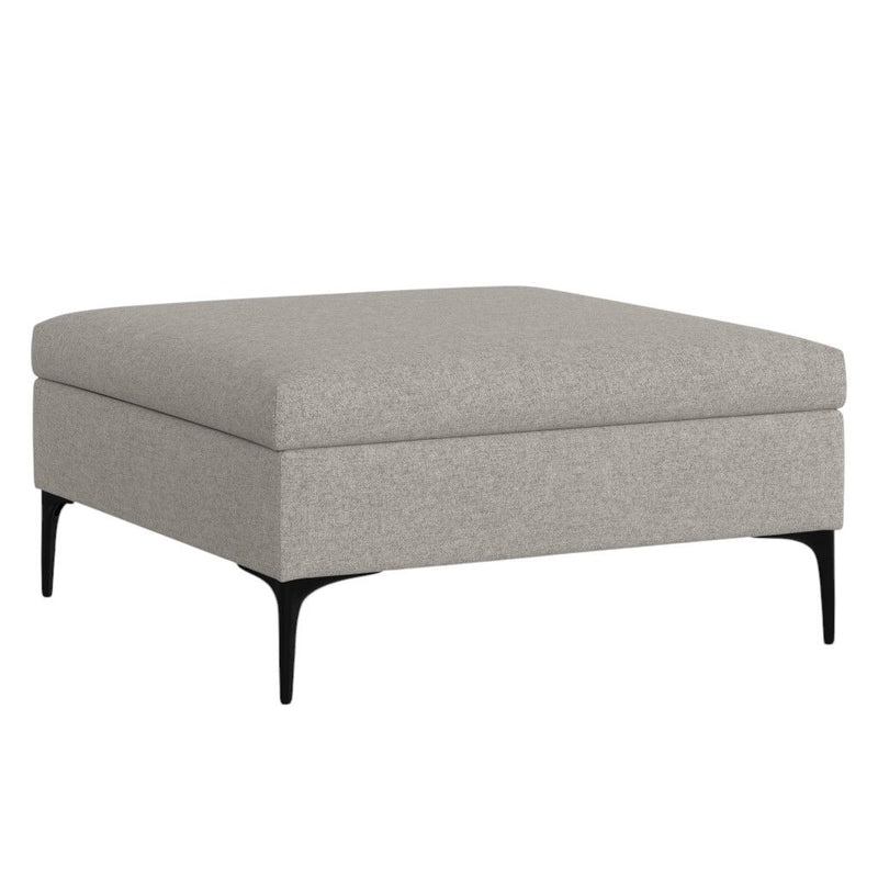 Storage Ottoman - Black / Cloud