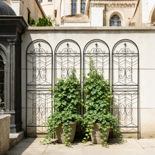 Load image into Gallery viewer, Garden Trellis, Rustproof Support For Climbing Plants
