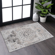 Load image into Gallery viewer, Payas - Medallion Rug
