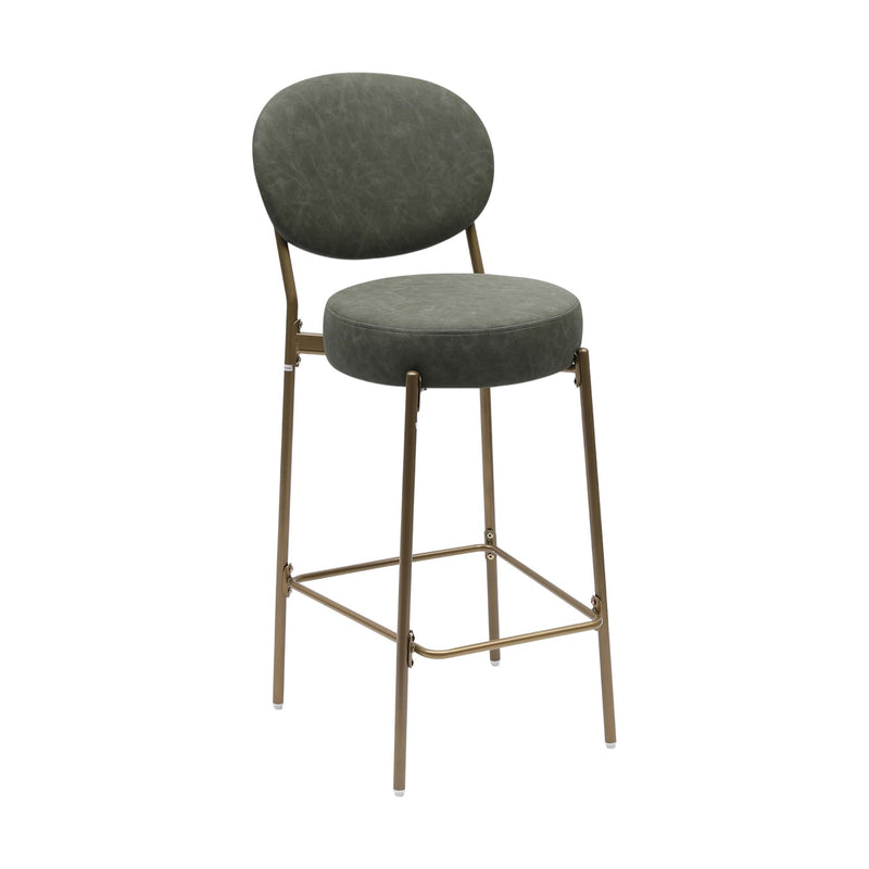 Faux Leather Metal Low Back Bar Height Bar Chairs (Set of 2) - Green / Gold