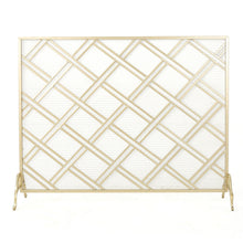Load image into Gallery viewer, Elegant Design Fire Screen, Protective Barrier
