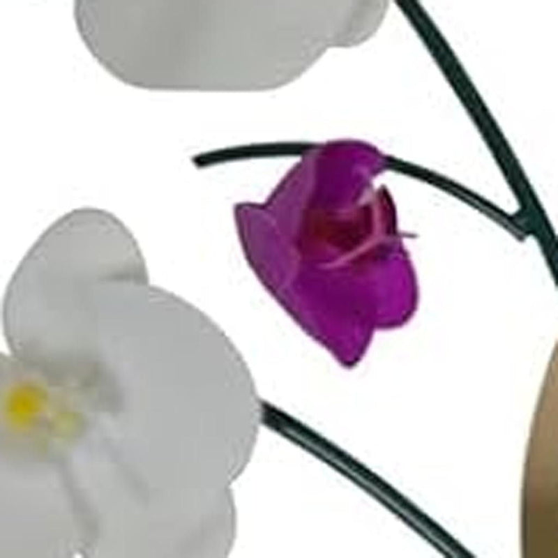Silent Analog Floral Novelty Wall Clock - Purple / White / Gold