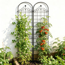 Load image into Gallery viewer, Metal Garden Trellis For Climbing Plants Outdoor Rustproof Plant Support Rose Trellis Netting Trellis
