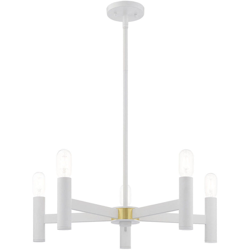 19'' Five Light Dimmable Chandelier With Shades - White