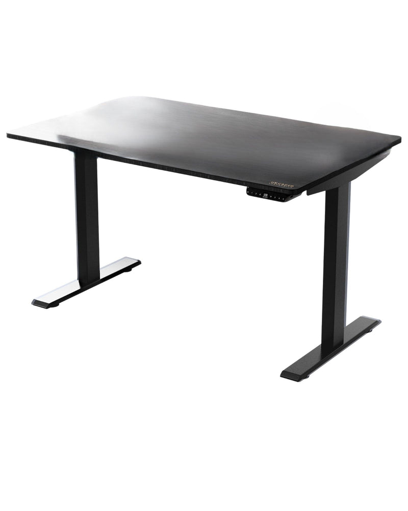 30" x 48" Electric Adjustable Stainless Steel Standing Desk - Black