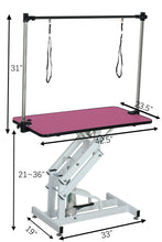 Load image into Gallery viewer, Hydraulic Pet Grooming Table With "H" Arm
