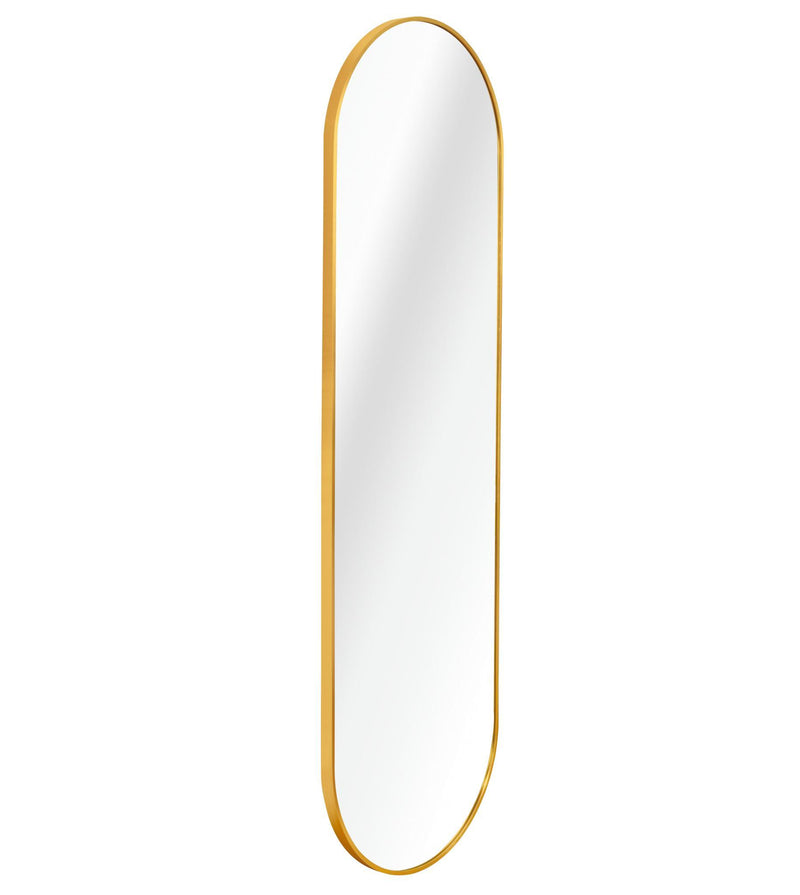Aluminum Oval Framed Full Length Hanging Mirror - Gold