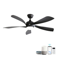 Load image into Gallery viewer, Ceiling Fan &amp; DC Motor And Integrated Light
