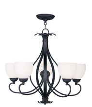 Load image into Gallery viewer, 24" Five Light Dimmable Chandelier With Shades - Black
