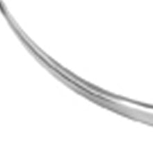 Load image into Gallery viewer, Buffed Long Horn Wall Sculpture - Silver
