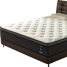 Load image into Gallery viewer, 10" Queen Foam Hybrid Mattress - White / Dark Gray
