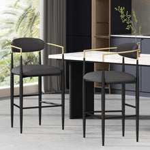 Load image into Gallery viewer, Counter Height Upholstered Barstools (Set of 2)
