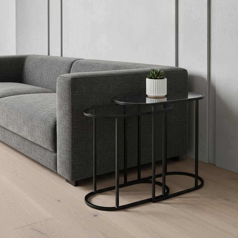 Glass Metal Tray Tables (Set of 2) - Clear / Black